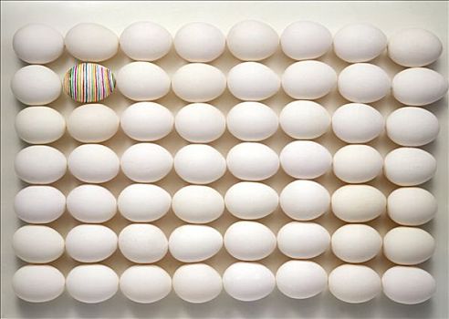许多,蛋,放置,一个,涂绘