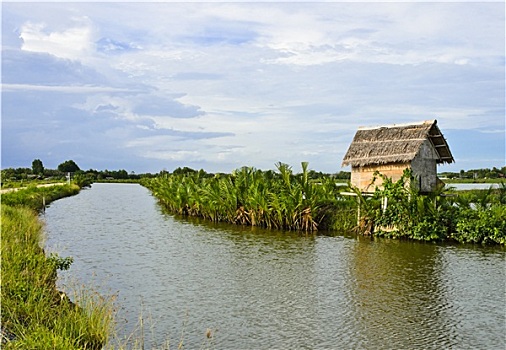小,棕榈叶,小屋,水产业,泰国