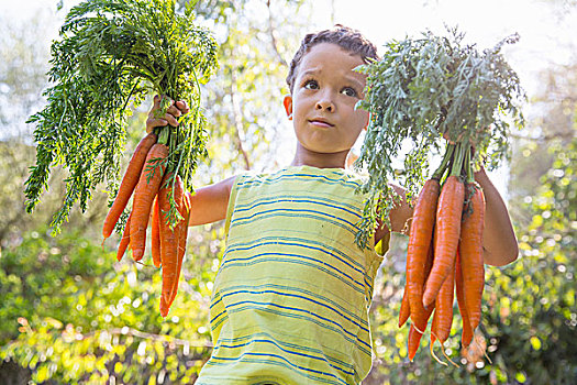 男孩,头像,花园,拿着,向上,胡萝卜