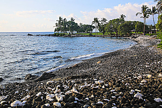 夏威夷火山岩砾石海滩