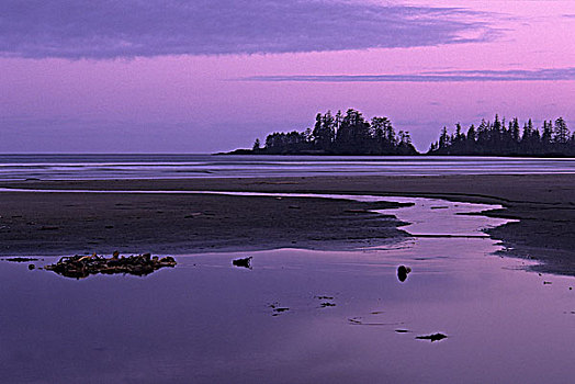 黎明,长滩,环太平洋国家公园,不列颠哥伦比亚省,加拿大