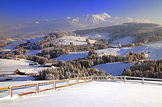 冬季风景,夜光,风景,阿彭策尔,瑞士,欧洲