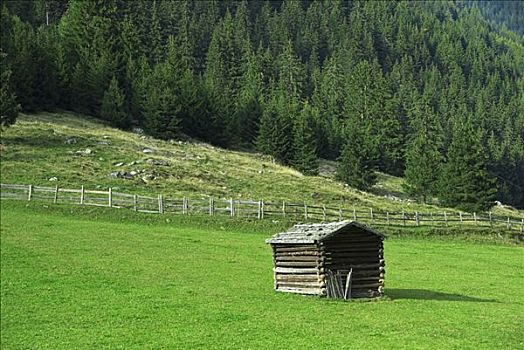 小屋,谷仓,草地,提洛尔,奥地利