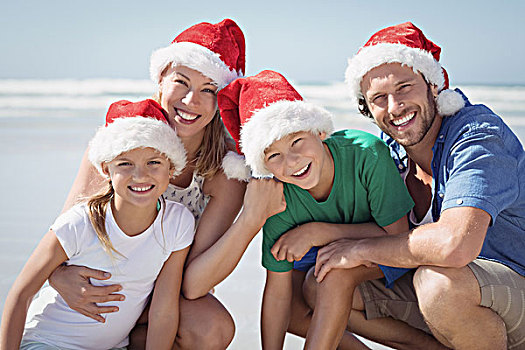头像,幸福之家,穿,圣诞帽,海滩,晴天