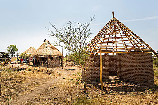 建筑,传统,住所,屋顶,框架,乌干达