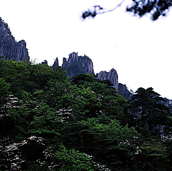 黄山,云海,蓝天,山峰