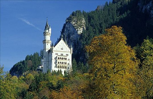 新天鹅堡,宫殿,靠近,斯瓦比亚,巴伐利亚,德国,欧洲