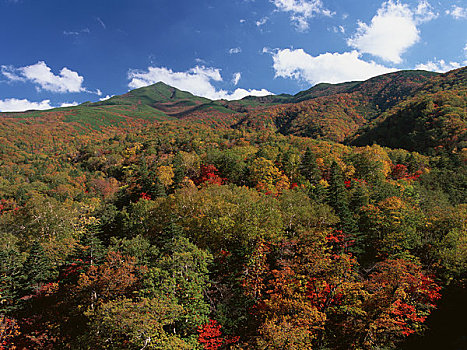 秋天,山坡