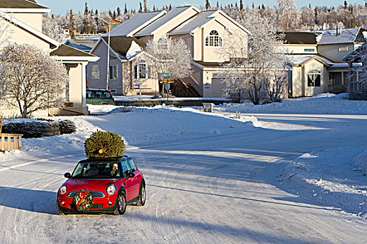 红色,迷你库伯,跑车,圣诞树,上面,住宅,街道,房子,阿拉斯加,冬天