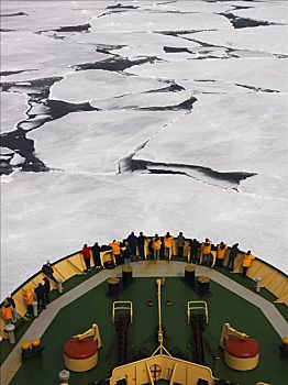 破冰船,操纵,浮冰,罗斯海,南极