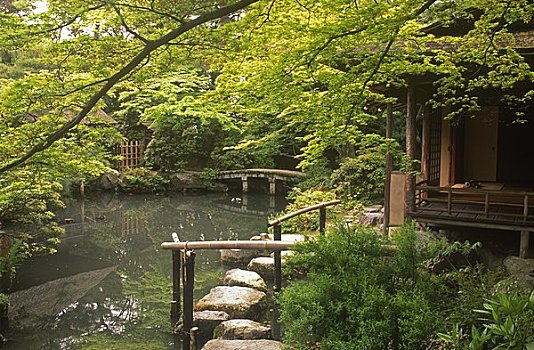 花园,京都,日本