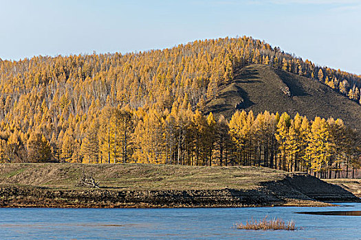 中国内蒙古呼伦贝尔根河市莫尔道嘎森林公园