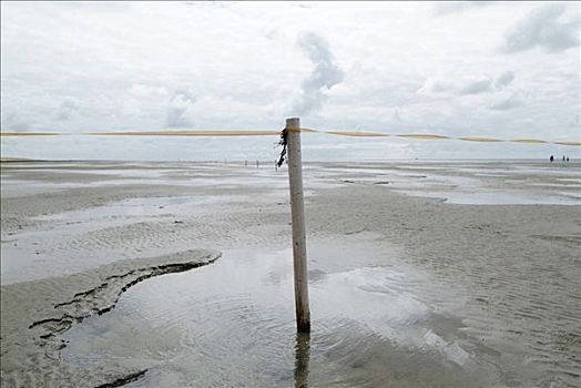 风景,水