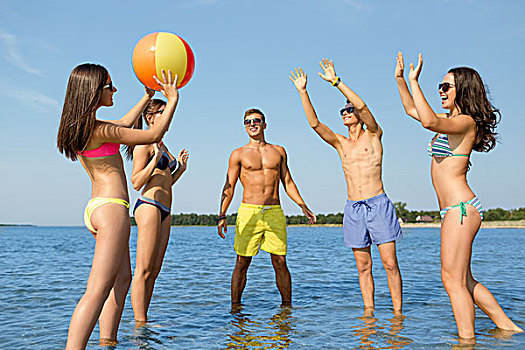 友谊,海洋,暑假,休假,人,概念,群体,微笑,朋友,戴着,泳衣,墨镜,交谈,海滩