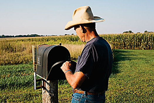 农民,检查,邮件,盒子,乡村,地点