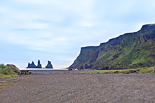 冰岛黑沙滩雷尼斯岩