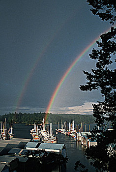 一对,彩虹,独木舟,小湾,码头,温哥华岛,不列颠哥伦比亚省,加拿大