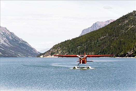 降落,水上飞机,灌木,湖,小路,不列颠哥伦比亚省,加拿大