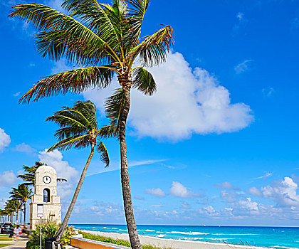 棕榈海滩,价值,道路,钟楼,佛罗里达,美国