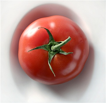 一个,简单,红色,西红柿,白色,盘子