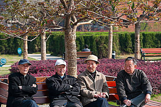 老人,退休生活,公园,休息,树木,长凳,聊天,草地,夕阳,中国