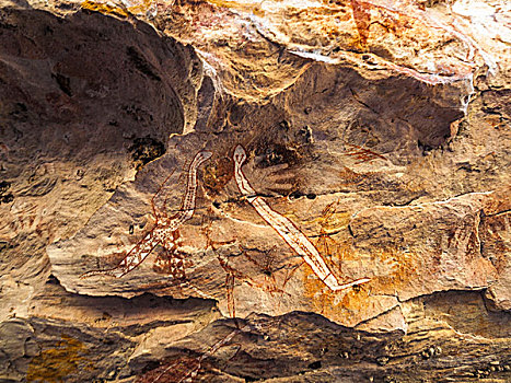 土著,岩画,澳大利亚