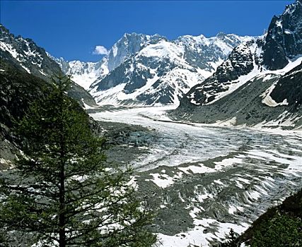 冰河,暸望,皱叶甘兰,阿尔卑斯山,法国,欧洲