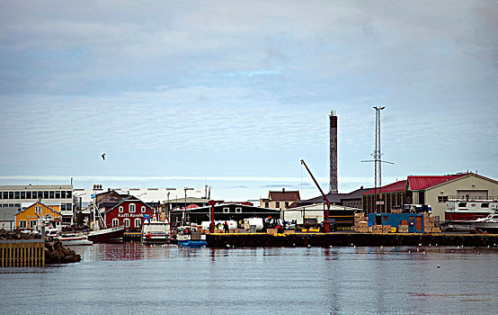 港口,船,冰岛