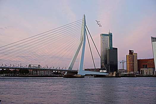 伊拉斯谟斯桥,鹿特丹,荷兰南部,荷兰,欧洲