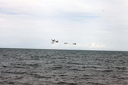 青海共和,青海湖景区美景