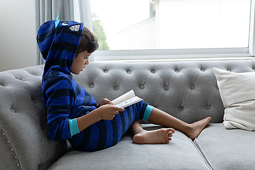 男孩,读,书本,沙发,客厅