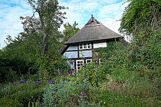 茅草屋顶,房子,花园,乌瑟多姆岛