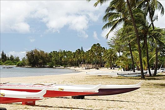 夏威夷,瓦胡岛,北岸,公园,舷外支架,独木舟,海滩