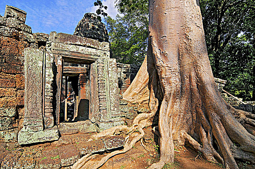 庙宇,吴哥,复杂,收获,柬埔寨