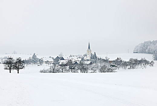 冬天,巴登符腾堡,德国,欧洲