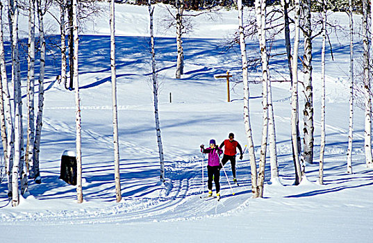 越野滑雪,白鲑,蒙大拿