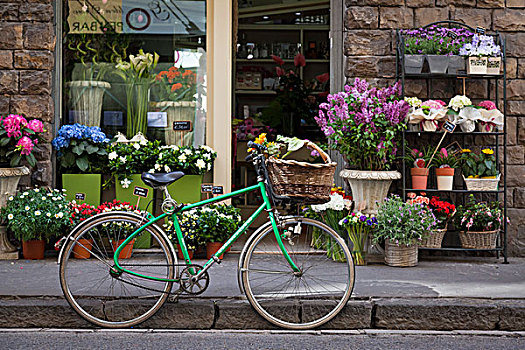 自行车,户外,店,佛罗伦萨,托斯卡纳,意大利
