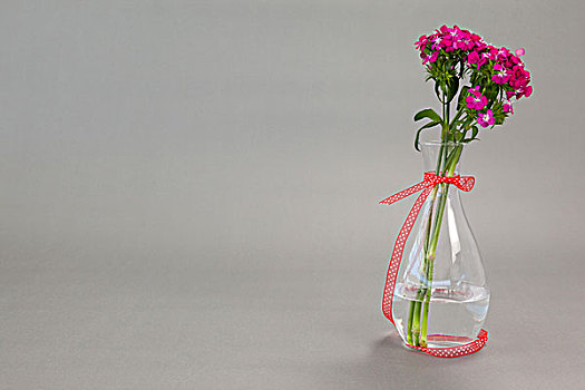 花瓶,系,红丝带,灰色背景