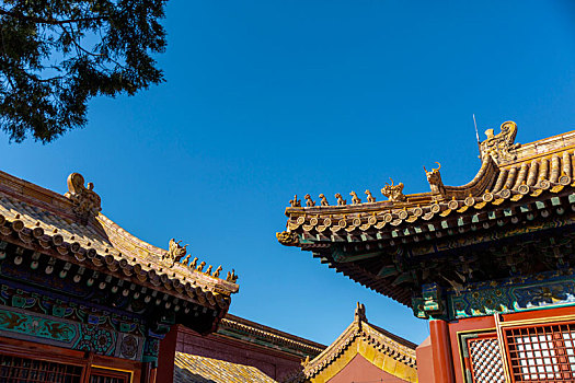 对称中的北京故宫屋檐檐角神兽
