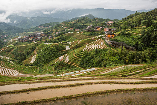 金坑梯田