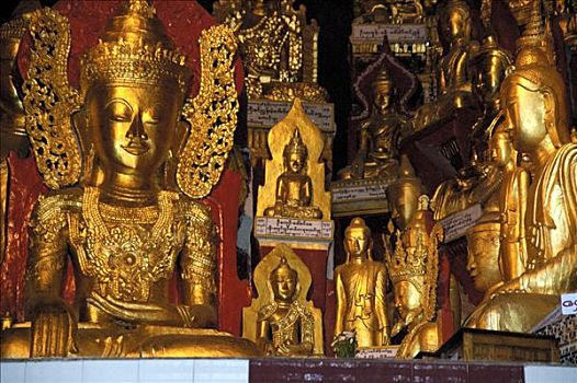 许多,金色,佛像,掸邦,缅甸