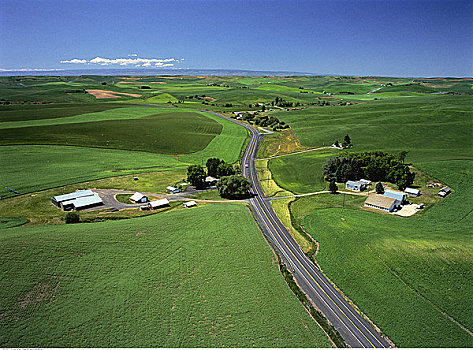 航拍,道路,风景,靠近,华盛顿,美国