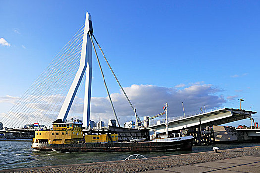 船,正面,桥,活动衍架,鹿特丹,荷兰,欧洲