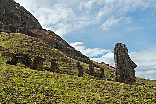 多,复活节岛石像,掩埋,地面,只有,头部,拉诺拉拉库采石场,复活节岛,智利,南美