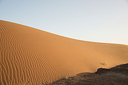 荒漠沙丘,风景,迟,白天,撒哈拉沙漠,梅如卡,摩洛哥