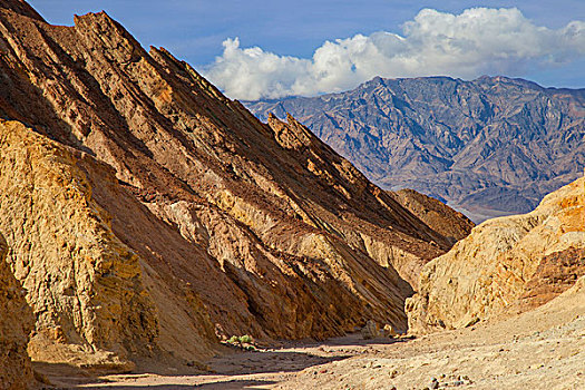 风景,金色,峡谷,死亡谷国家公园,加利福尼亚,美国