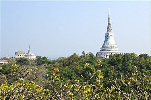 塔,山,庙宇,泰国