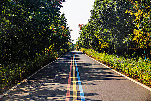 山村道路,天目湖