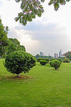 绿地公园