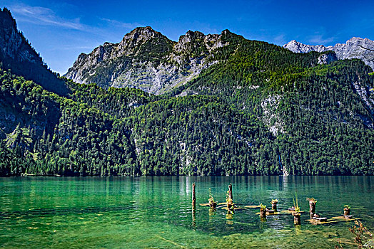 风景,湖,国家公园,巴伐利亚,上巴伐利亚,德国,欧洲